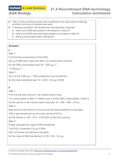 36 Dna Technology Worksheet Answer Key - combining like terms worksheet