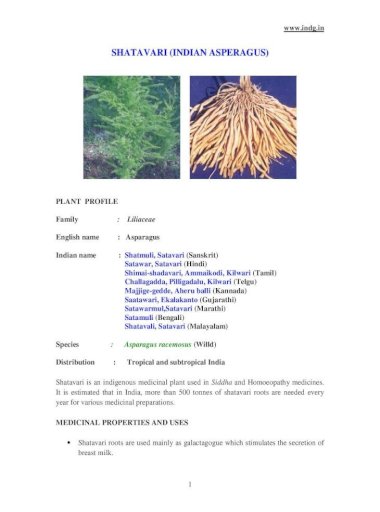 Of medicinal shatavari use medicinal herbs: