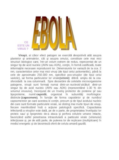Реферат: Ebola A Harbinger Of The End Of